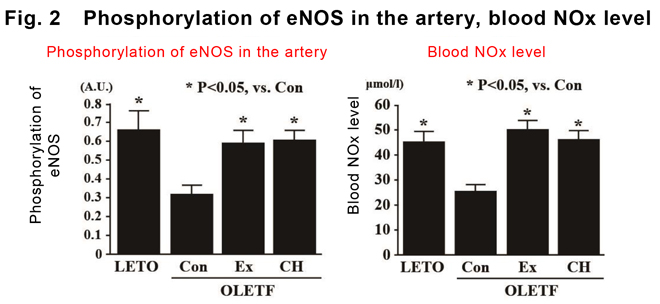 fig2